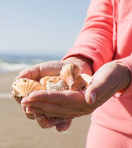 Collecting Shells During the Off-Season