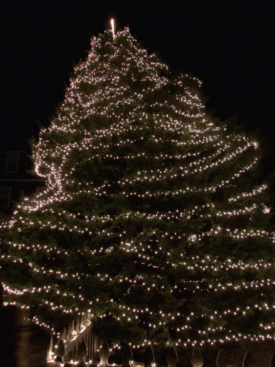 Friday, November 30, is when the Manteo Christmas Tree will be lit.