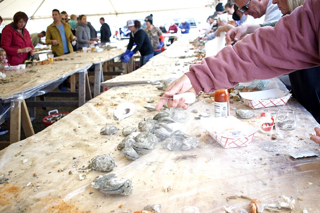 All you can eat oysters, freshly steamed and tasty. One of the best parts of the Big Currishuck.