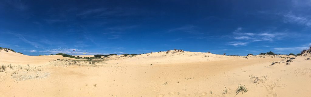 Explore Jockey's Ridge State Park on your next Outer Banks Vacation