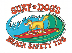 picture of a dog surfing surf dogs beach safety tips