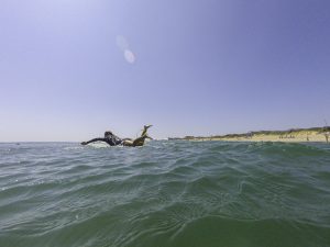 A person surfing in the ocean of the Outer Banks