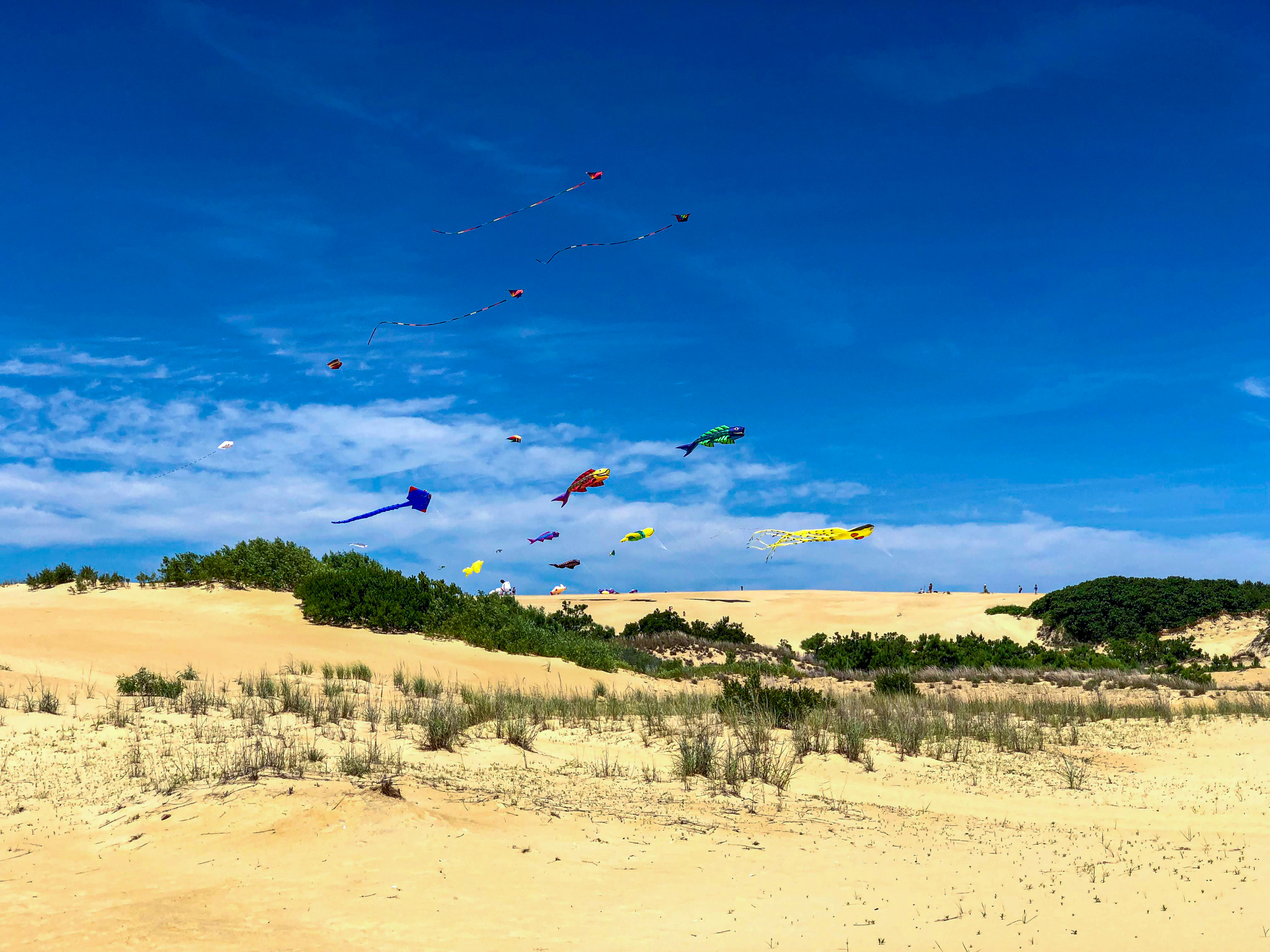 Explore Jockey's Ridge State Park on your next Outer Banks Vacation