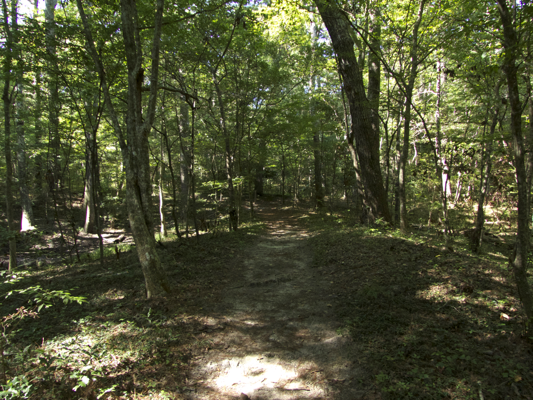 Nags Head Woods-Beautiful and Challenging