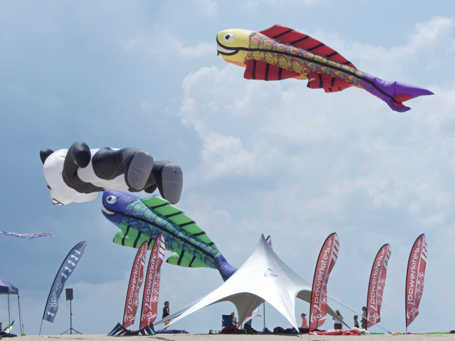 Rogallo Kite Festival Comes to Jockey's Ridge State Park