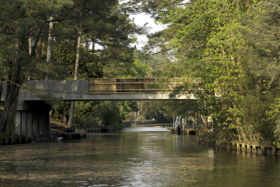 The Tale Behind the Tall Pine Bridge Replacement