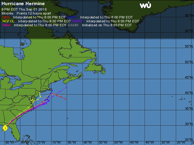 Hermine Comes to Town