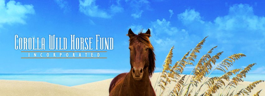 Exec Director of Corolla Wild Horse Fund Retires
