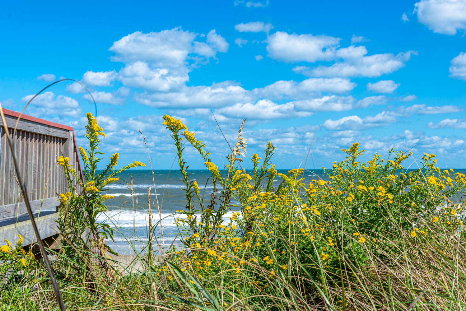 SPRING EVENTS ON THE OBX 