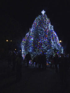 Manteo Christmas Tree after lighting.