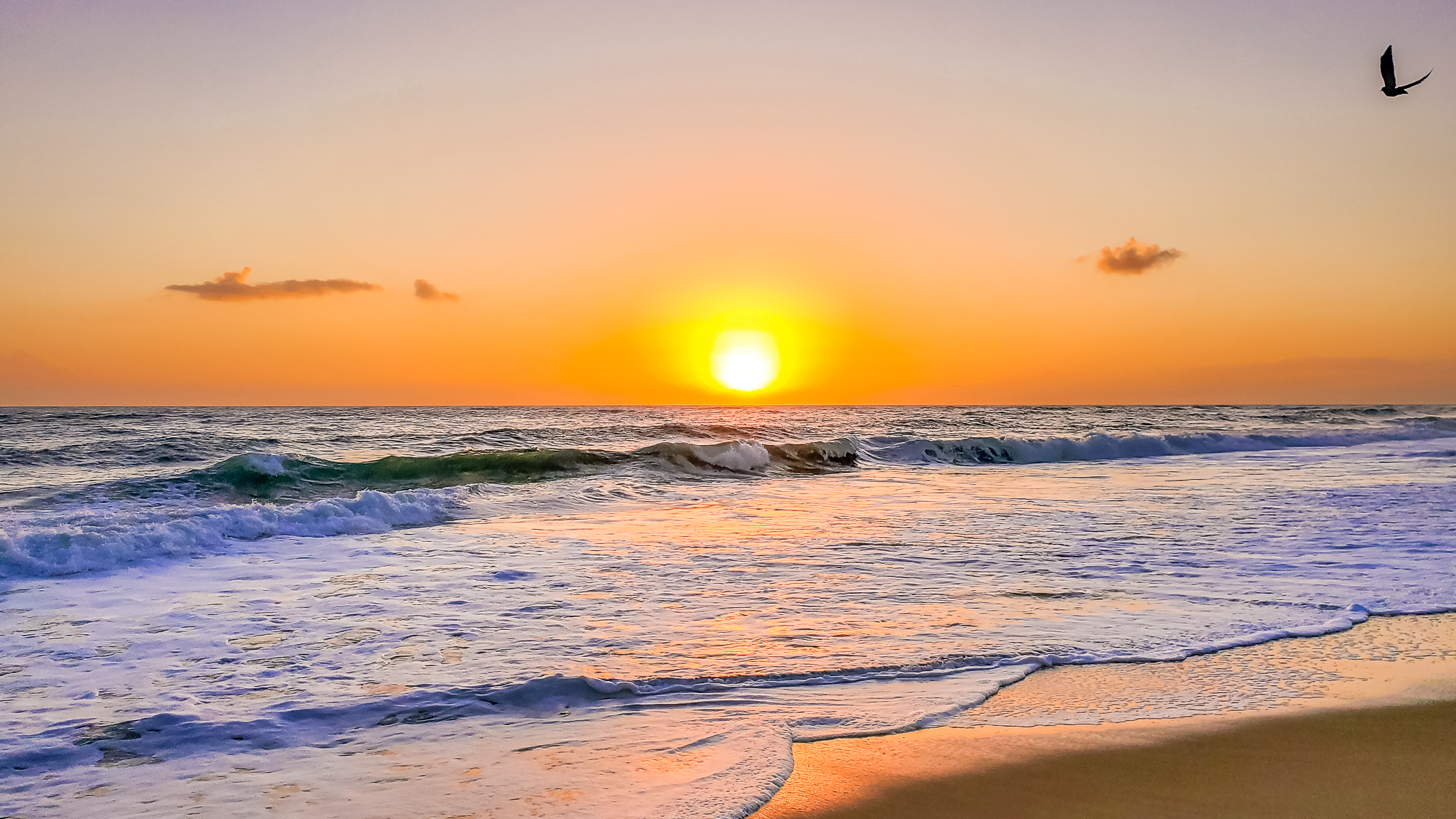 Thing To Do Specials and Reduced Rates 