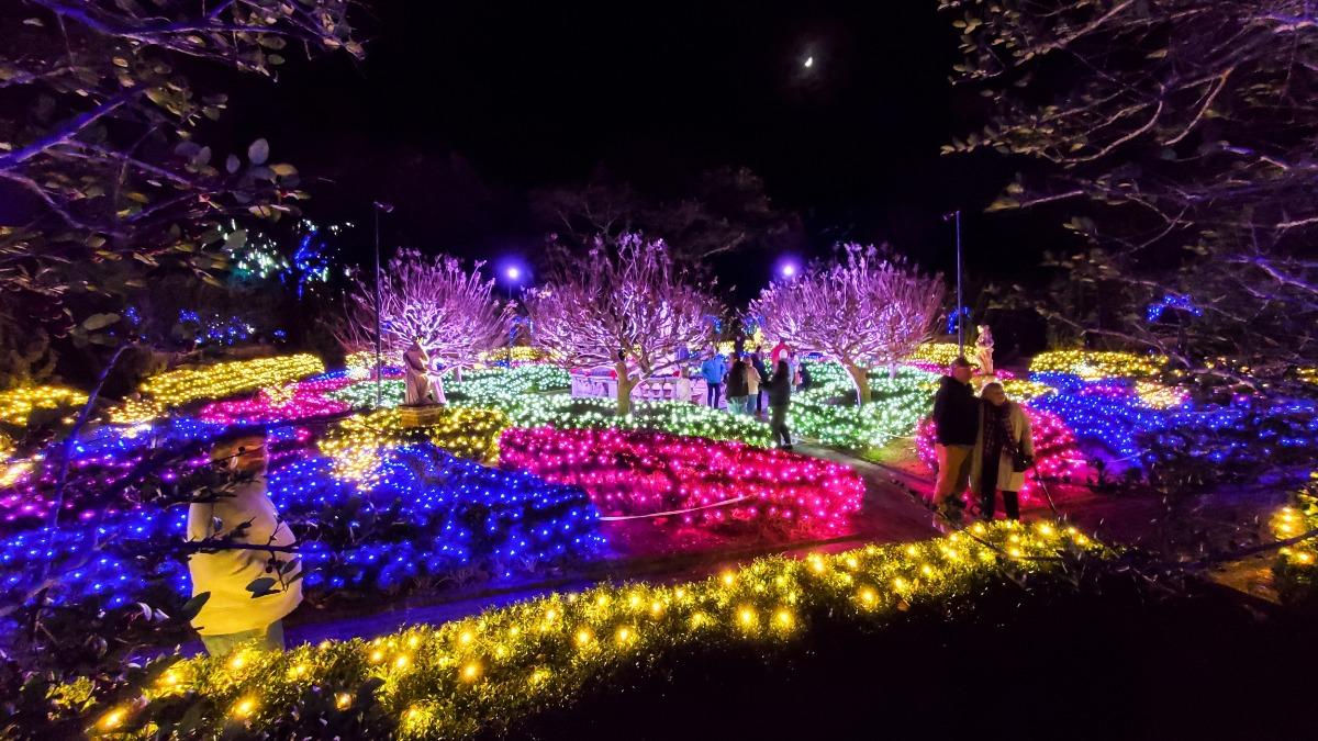 lights in elizabethan gardens