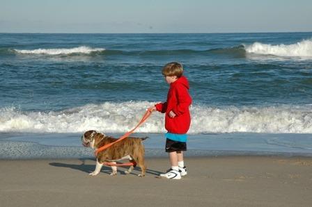 boy with dog on a beach